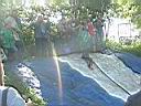 Resize of DSCF5976.JPG